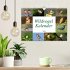 Wildvogelkalender (Wandkalender 2026... - Bild 2
