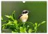 Wildvogelkalender (Wandkalender 2026... - Bild 14