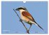 Wildvogelkalender (Wandkalender 2026... - Bild 3