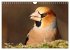 Wildvogelkalender (Wandkalender 2026... - Bild 8