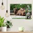 Trampeltiere und Alpakas (Wandkalender... - Bild 2