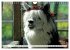 Trampeltiere und Alpakas (Wandkalender... - Bild 12