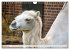Trampeltiere und Alpakas (Wandkalender... - Bild 3
