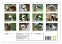 Trampeltiere und Alpakas (Wandkalender... - Bild 6