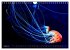 In der Welt der Medusen (Wandkalender... - Bild 14