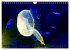 In der Welt der Medusen (Wandkalender... - Bild 3