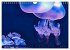 In der Welt der Medusen (Wandkalender... - Bild 5