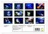 In der Welt der Medusen (Wandkalender... - Bild 6