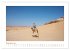 Urlaubsgefühle - mit Dromedaren... - Bild 4