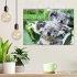 Koalas: die flauschigen Herzensbrecher... - Bild 2