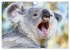 Koalas: die flauschigen Herzensbrecher... - Bild 4
