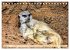 Goldige Erdmännchen (Tischkalender... - Bild 14