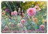 Dahlienglück (Wandkalender 2026 DIN A4... - Bild 5