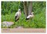 Der Storchenkalender (Wandkalender 2026... - Bild 4
