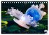 In der Welt der Medusen (Tischkalender... - Bild 12