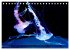 In der Welt der Medusen (Tischkalender... - Bild 15