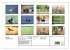 Bei den Purpurreihern (Wandkalender... - Bild 6
