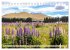 Faszination Neuseeland (Tischkalender... - Bild 11