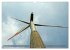 Alte und neue Energie im Rheinland -... - Bild 4