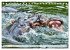 Das Wasser brodelt - Flusspferde im... - Bild 11