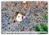Kreta - Insel der Kapellen... - Bild 15