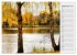 Der Steinertsee (hochwertiger Premium... - Bild 14