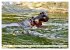 Das Wasser brodelt - Flusspferde im... - Bild 14