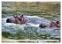 Das Wasser brodelt - Flusspferde im... - Bild 4