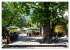 Spaziergang in Meran (hochwertiger... - Bild 2