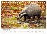 Die Tiere des Waldes (Tischkalender... - Bild 15