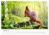Die Tiere des Waldes (Tischkalender... - Bild 3
