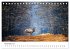 Die Tiere des Waldes (Tischkalender... - Bild 4