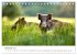 Die Tiere des Waldes (Tischkalender... - Bild 5