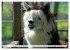 Trampeltiere und Alpakas (Wandkalender... - Bild 12
