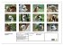 Trampeltiere und Alpakas (Wandkalender... - Bild 6