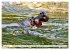Das Wasser brodelt - Flusspferde im... - Bild 13