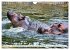 Das Wasser brodelt - Flusspferde im... - Bild 7