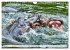 Das Wasser brodelt - Flusspferde im... - Bild 10