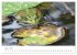 Der lachende Frosch und seine Freunde... - Bild 12