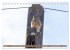 Faszination Turmfalken (Tischkalender... - Bild 9