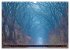 Rotbuchen (Wandkalender 2026 DIN A3... - Bild 15