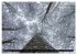 Rotbuchen (Wandkalender 2026 DIN A3... - Bild 5