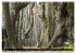 Rotbuchen (Wandkalender 2026 DIN A3... - Bild 10