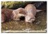 Quirlige Fischotter (hochwertiger... - Bild 8