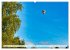 Faszination Ballooning (hochwertiger... - Bild 4