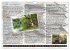 Neue Abenteuer der See-Bären... - Bild 5