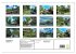 Bootsfahrt in Giethoorn (Wandkalender... - Bild 5