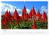 Madeira - Die Blumeninsel im Atlantik.... - Bild 12