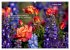 Rose Königin des Gartens (Wandkalender... - Bild 8