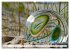 Strandgut Szenen (hochwertiger Premium... - Bild 11